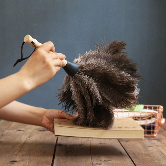 Plumeau - PlumAir™ – Léger comme l’air, puissant contre la poussière - Benziclean