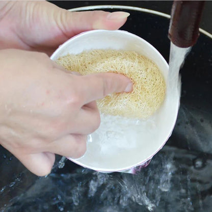 Eponge de mer - NatureSponge™ : L'Éponge de Mer Révolutionnaire pour une Cuisine Éclatante
