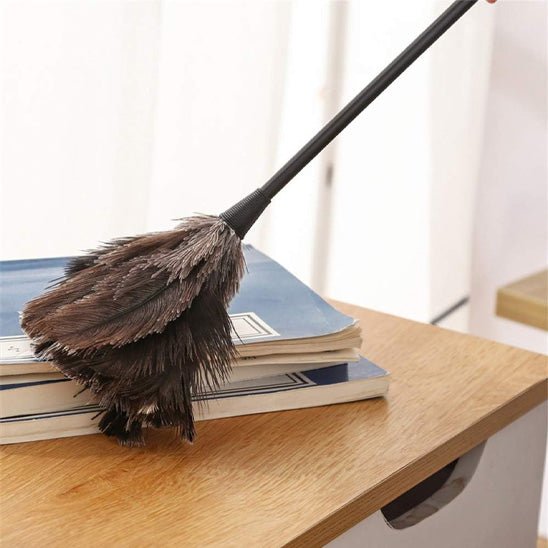 Plumeau - Nettina™ – Le plumeau malin et stylé - Benziclean