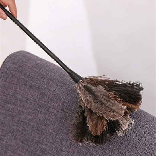 Plumeau - Nettina™ – Le plumeau malin et stylé - Benziclean