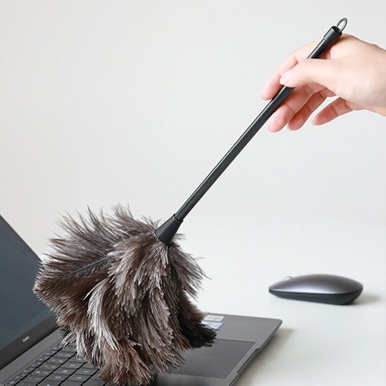 Plumeau - Nettina™ – Le plumeau malin et stylé - Benziclean