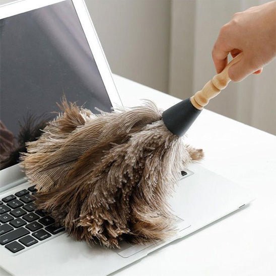 Plumeau - PlumAir™ – Léger comme l’air, puissant contre la poussière - Benziclean