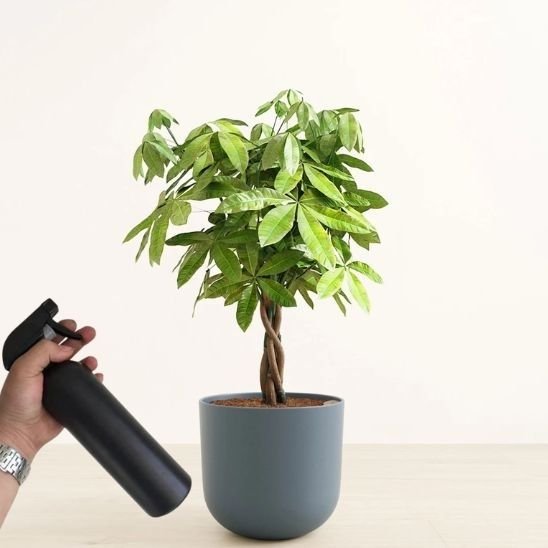 pulverisateur - Benziclean