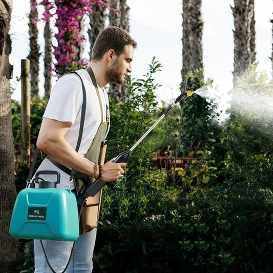 Un outil pratique, puissant et sans effort pour vos travaux de pulvérisation au jardin - Benziclean